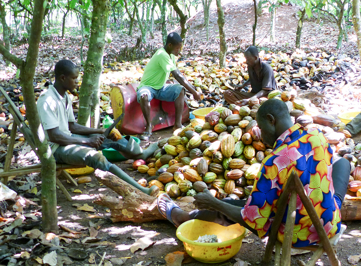 Comunidades Eclesiales de Base