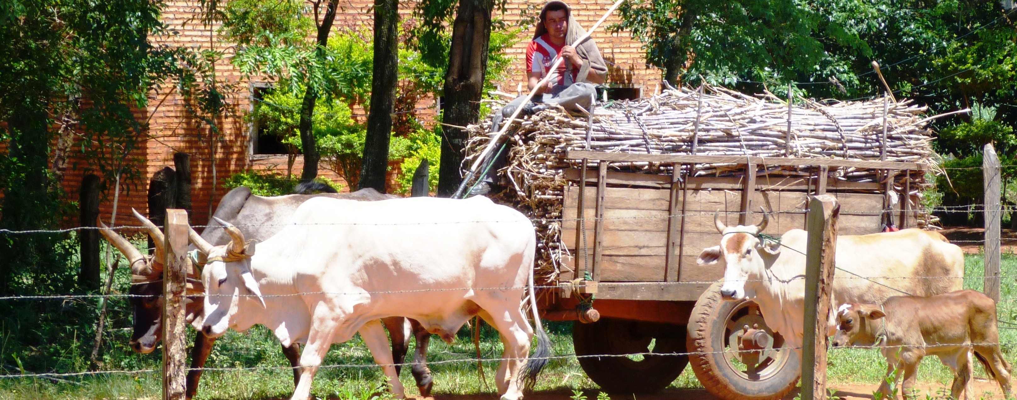 El Comercio Justo apoya la lucha del campesinado por sus derechos