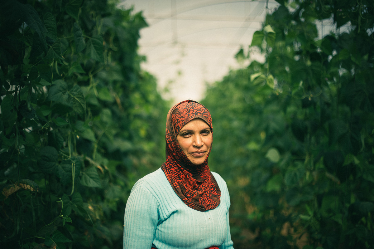Gracias a la cooperación y al Comercio Justo mujeres de Palestina y Líbano encuentran estabilidad e independencia