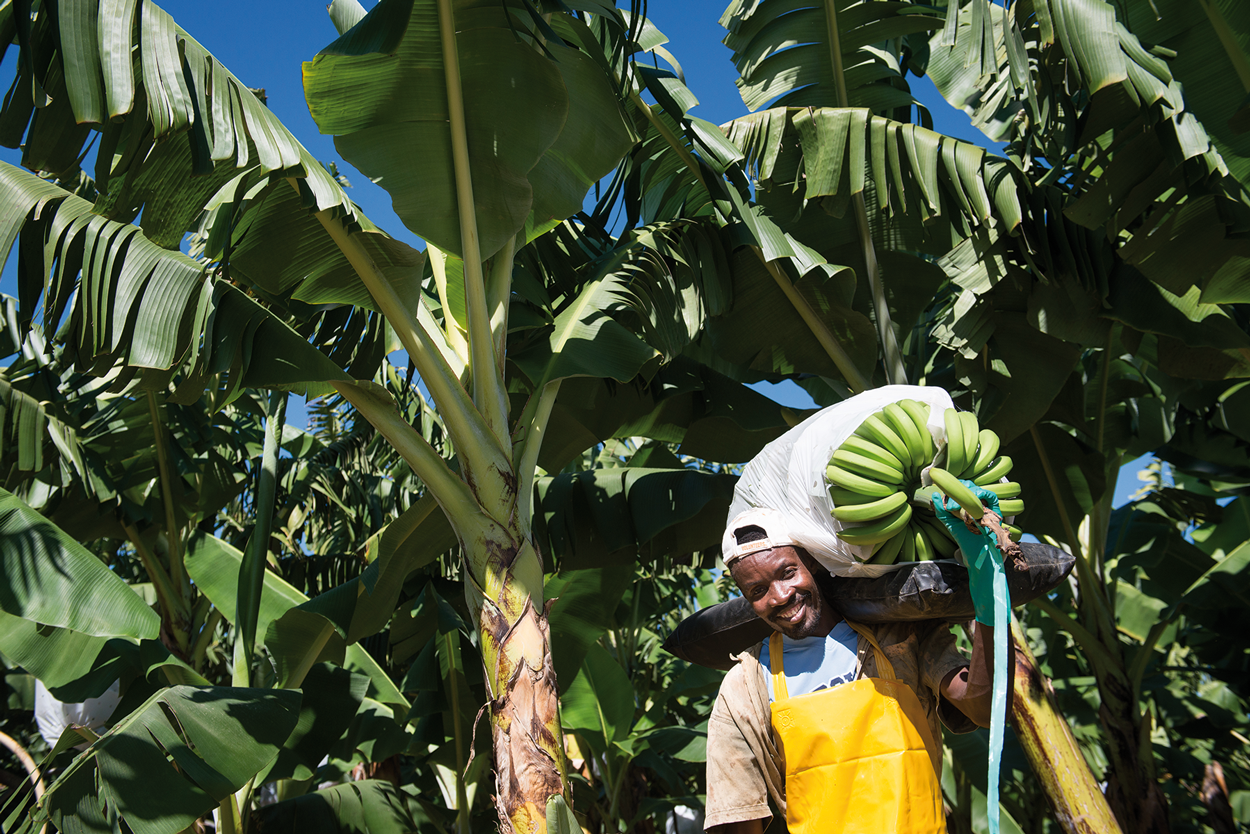 El Comercio Justo y la lucha contra el Cambio Climático
