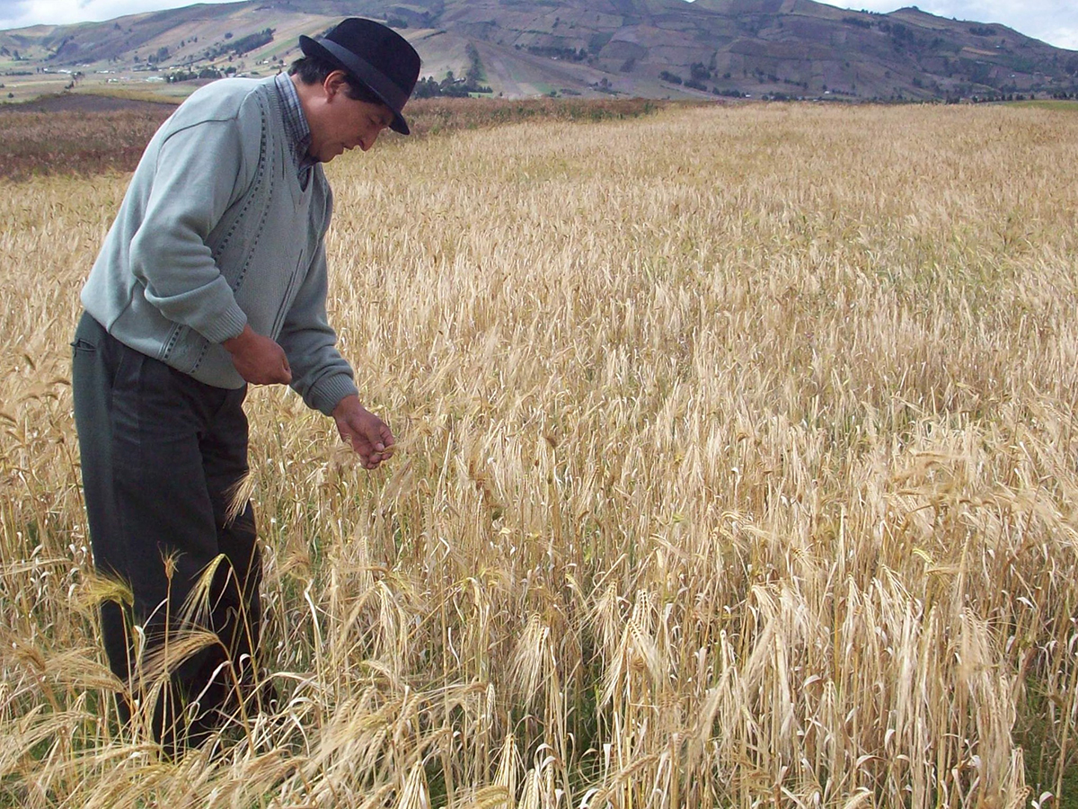 Maquita Cushunchic MCCH