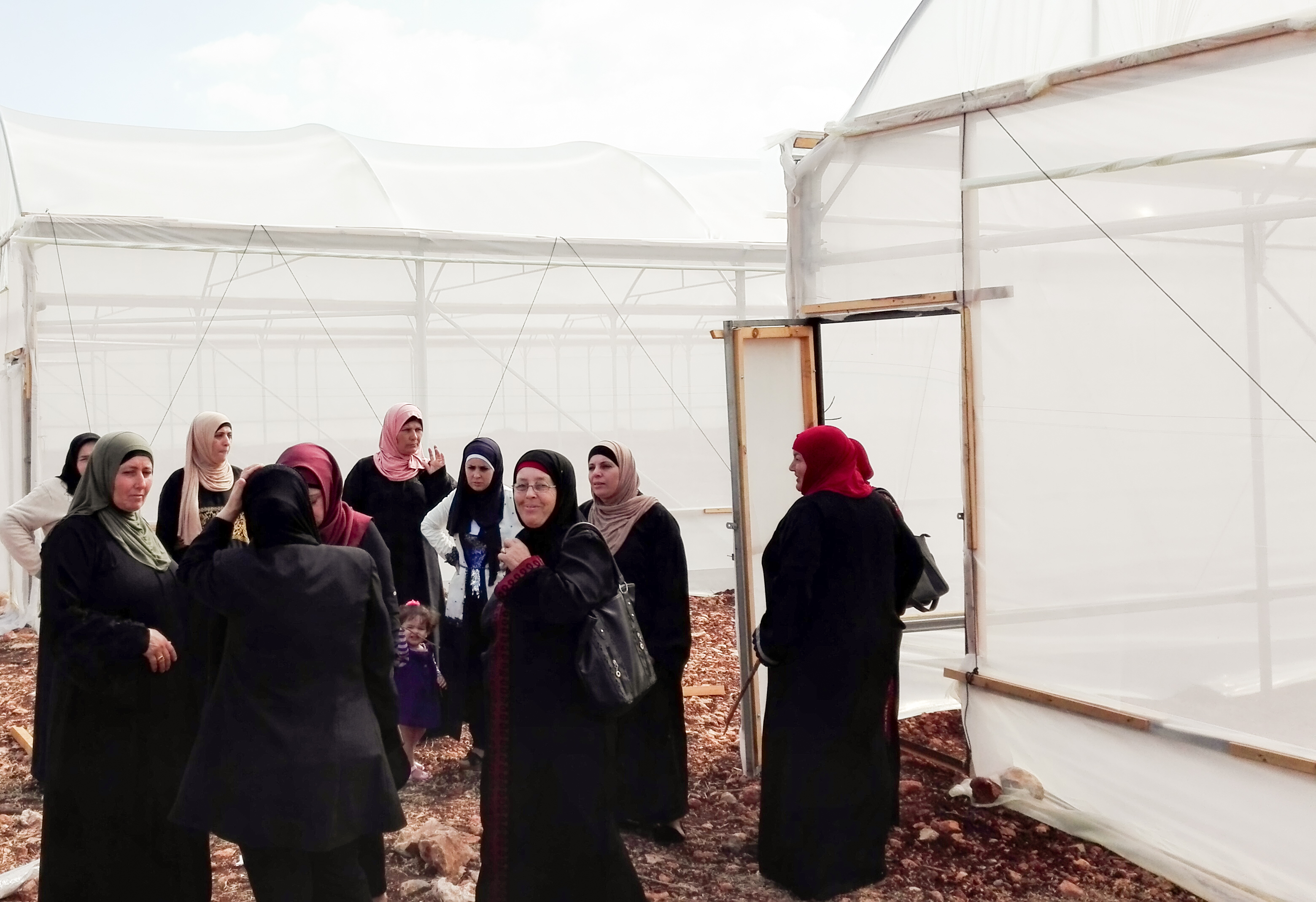 IDEAS con las mujeres palestinas de Cisjordania