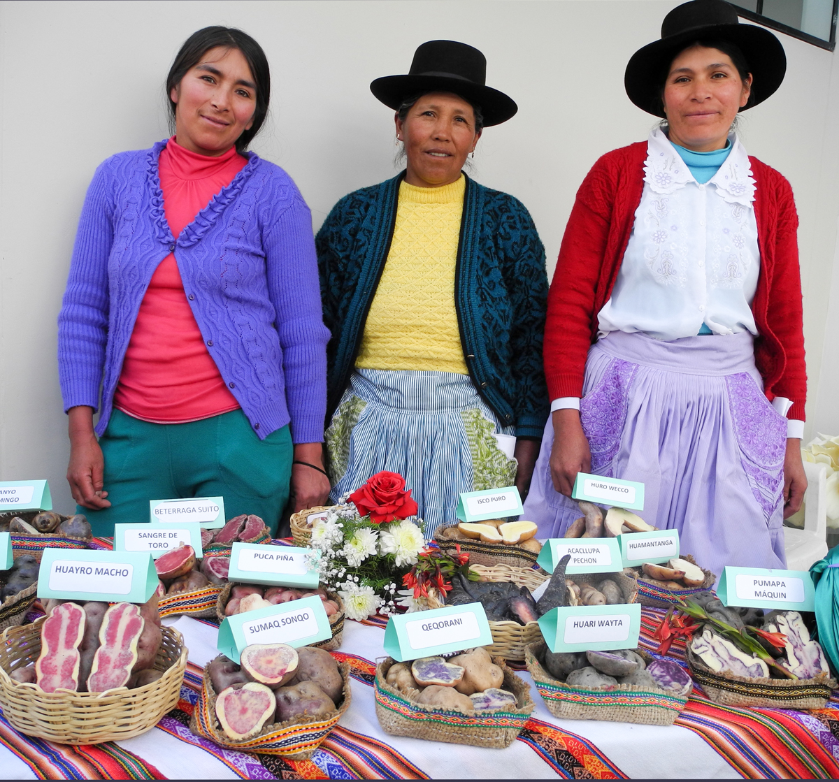 AGROPIA Comercio Justo