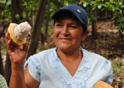 Cooperativa Norandino