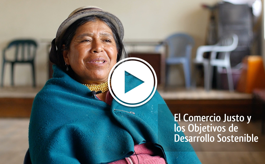 El Comercio Justo y los Objetivos de Desarrollo Sostenible con mirada de mujer
