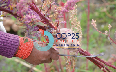 No hay resiliencia climática sin Justicia Comercial