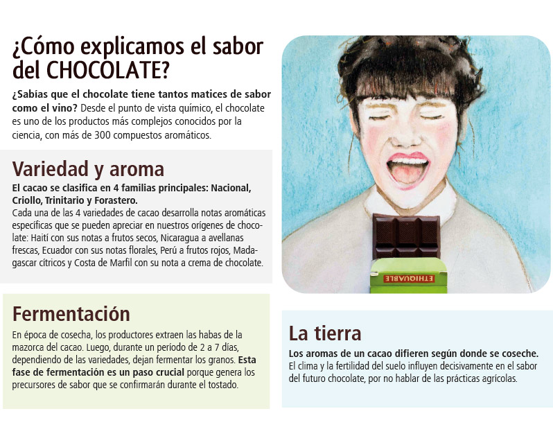 Disfrutar del chocolate