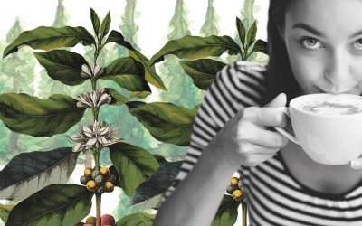 ¿Puede una taza de café cambiar el mundo?