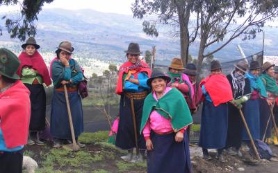 Apoyamos a las familias productoras de quinoa en Ecuador