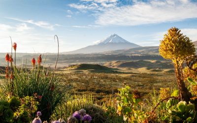 El gigante con pies de azúcar