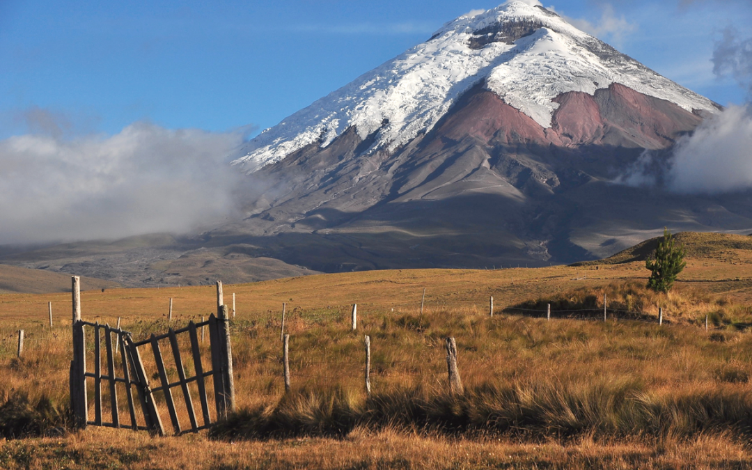 Aprendiendo a cuidar la naturaleza con el Comercio Justo