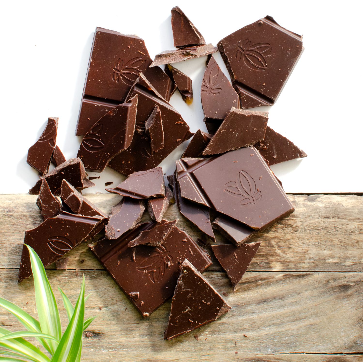 Cacao comercio justo