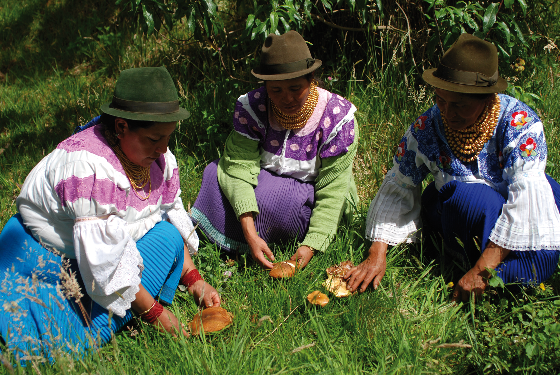Productoras de Comercio Justo Maquita