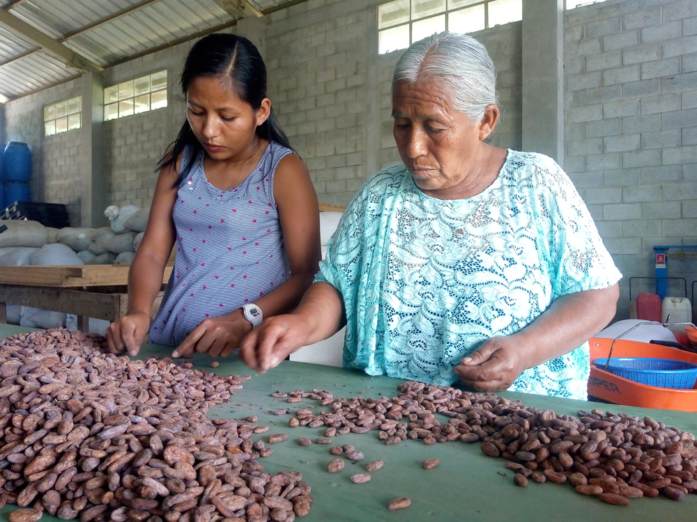 Grupos productores de Comercio Justo. APODIP
