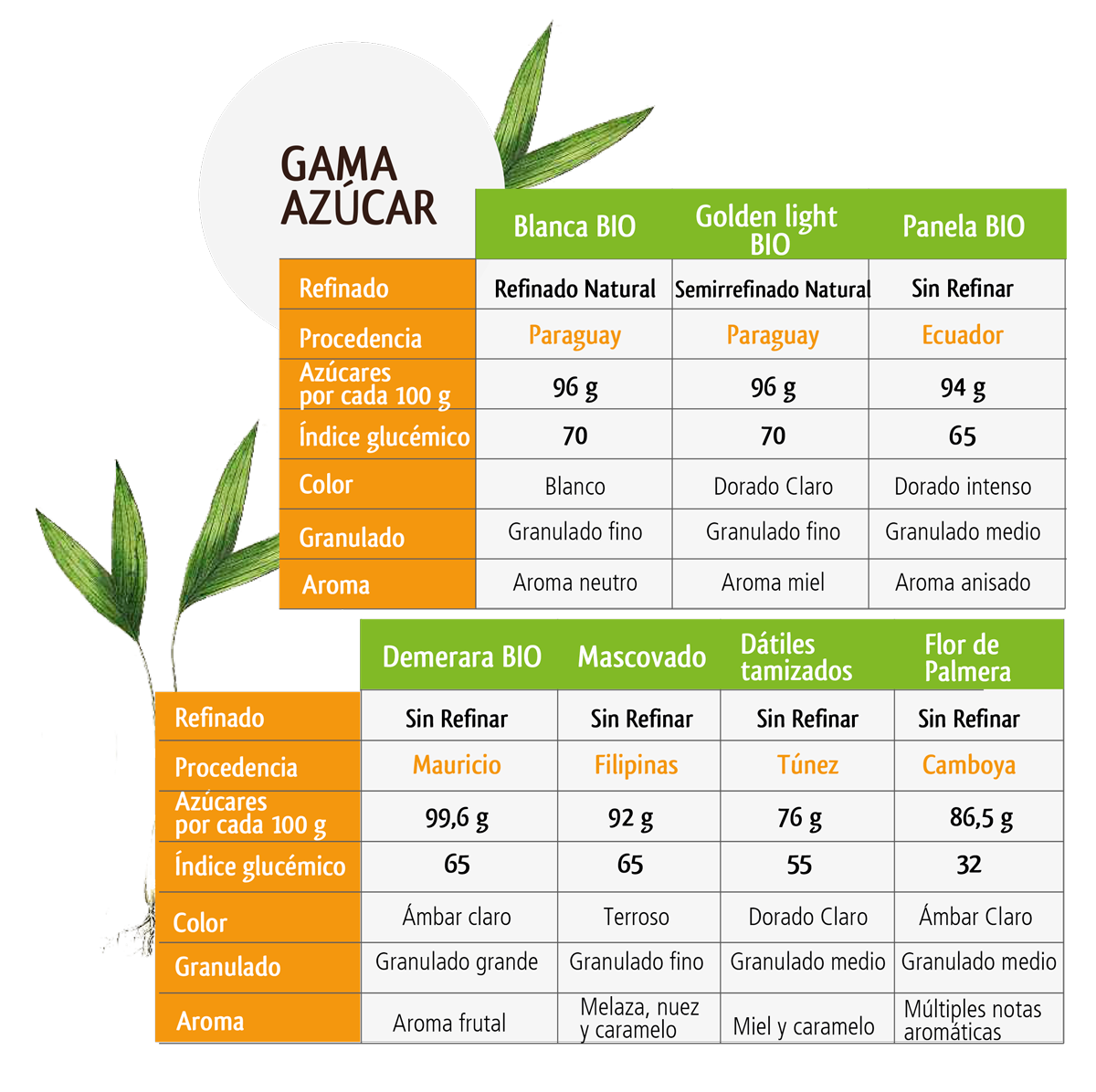 Tipos de azúcar y características