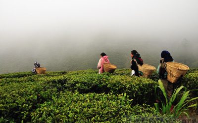 El Comercio Justo contribuye a la Justicia Social