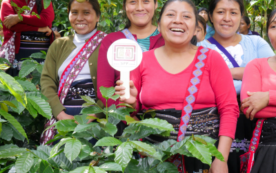 ¿Cómo reconocer los productos de Comercio Justo?