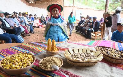 IDEAS en Perú. Diario de viaje