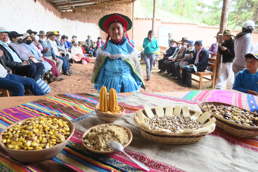 Imillay Comercio Justo