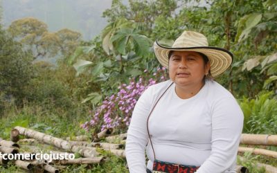 Por qué consumir panela de Flor de caña