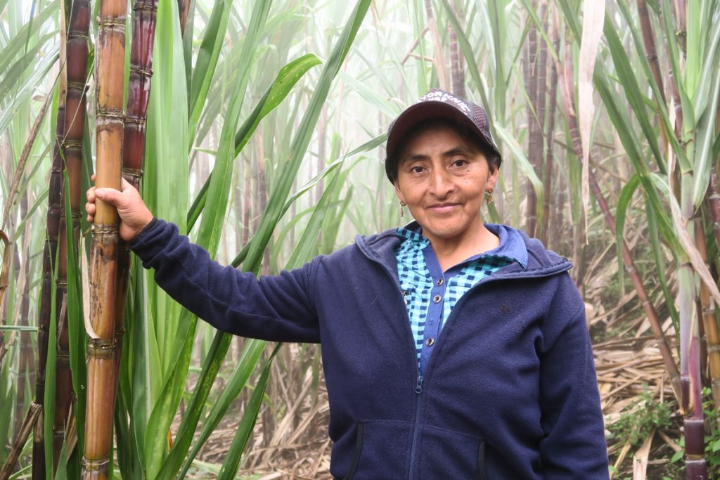 Productoras de Comercio Justo. Flor de caña.