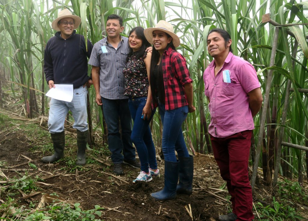 Productoras de Comercio Justo. Flor de caña.