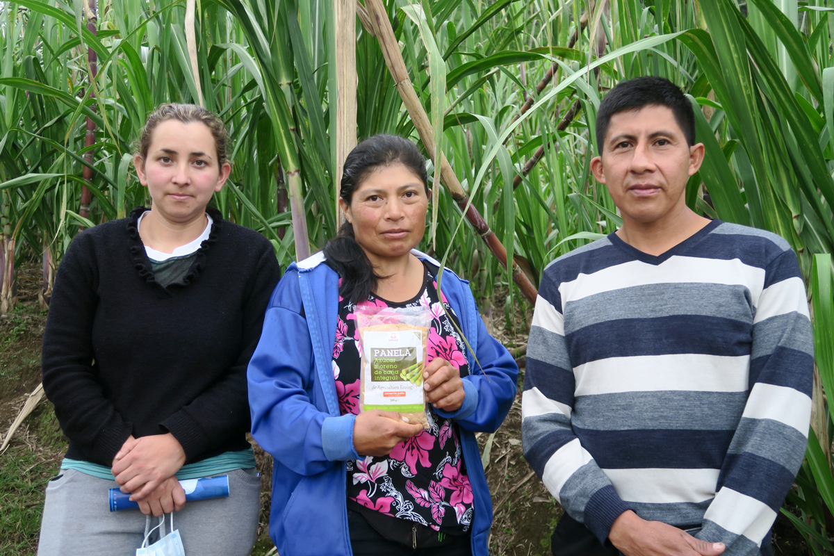 Productoras de Comercio Justo. Flor de caña.
