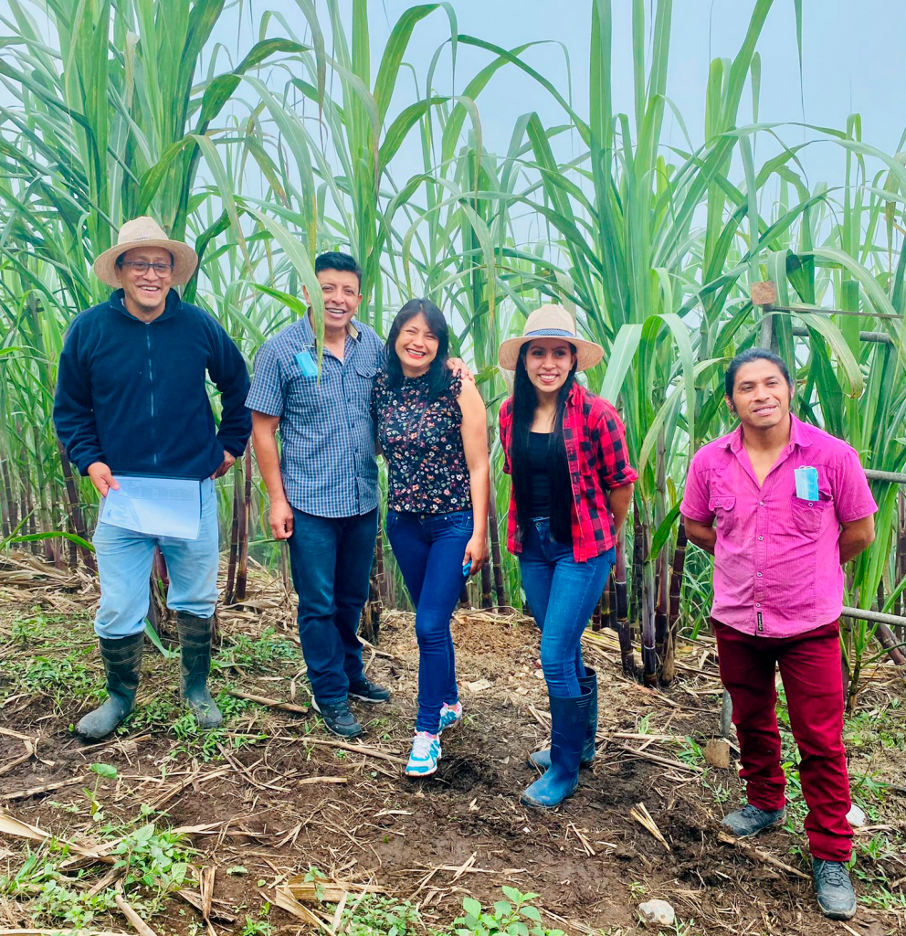 Productoras de Comercio Justo. Panela BIO.