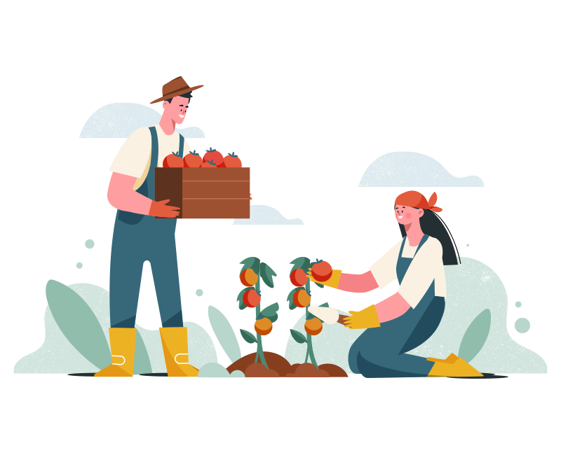 agricultores Comercio Justo