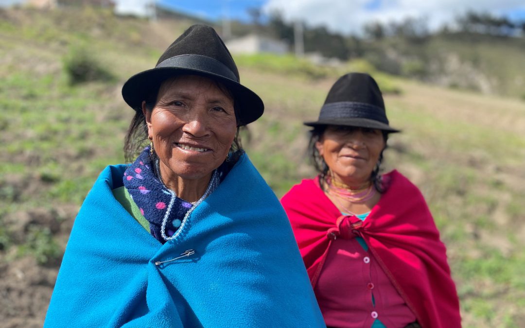 La casa de Nancy o el maravilloso mundo de la quinoa