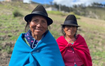 La casa de Nancy o el maravilloso mundo de la quinoa