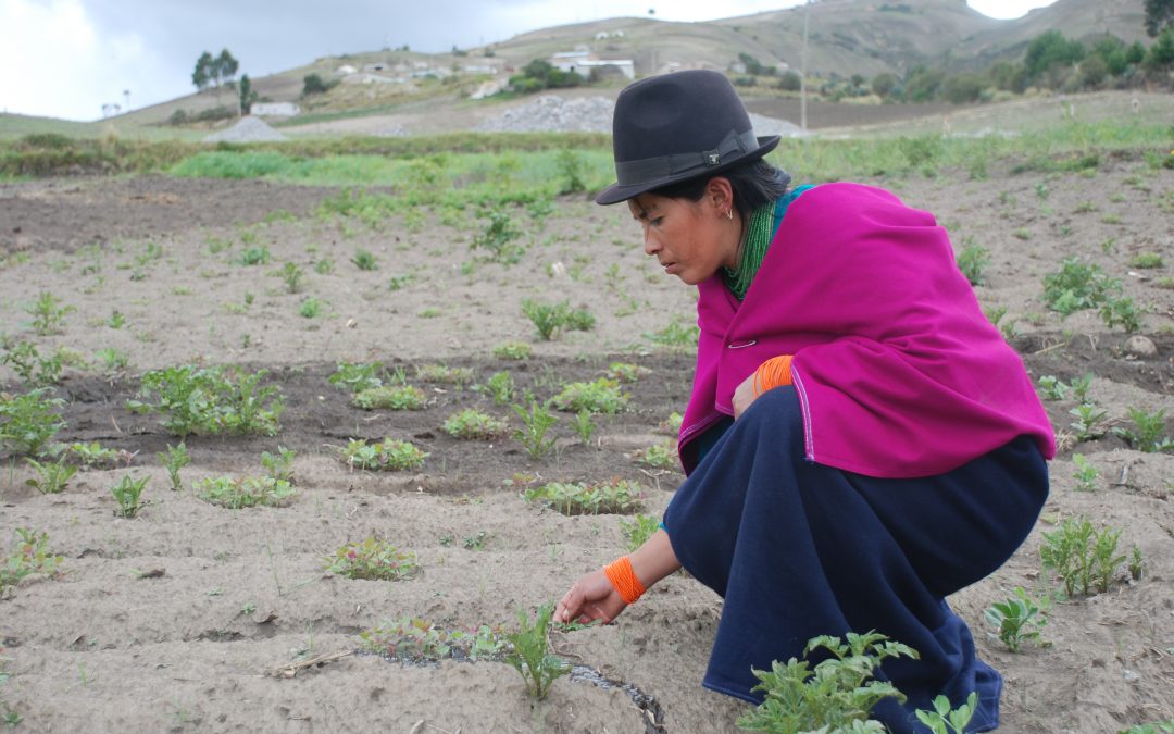 Las mujeres en el Comercio Justo, algunos ejemplos inspiradores.