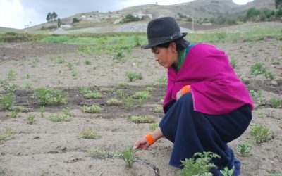 Las mujeres en el Comercio Justo, algunos ejemplos inspiradores.