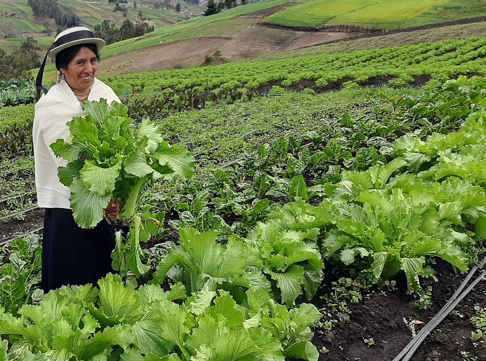 Productoras Ecuador. Cooperación INternacional