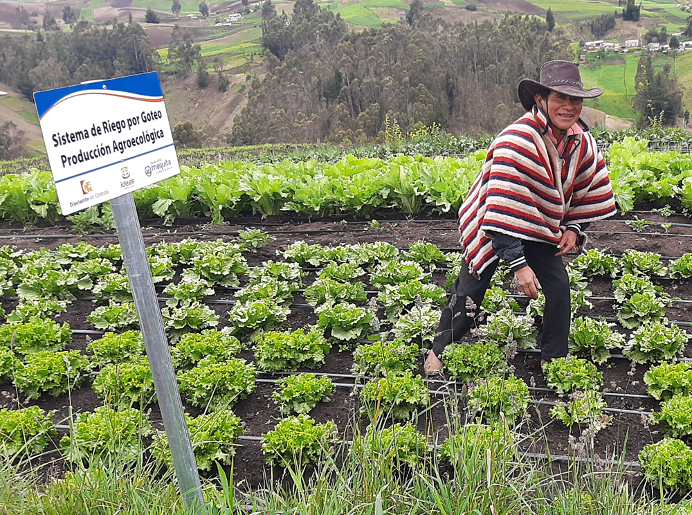 Productoras Ecuador. Cooperación Internacional