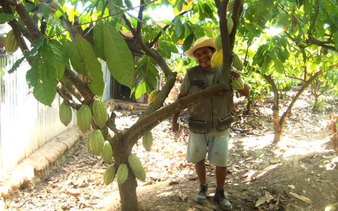 Productor junto de CEPRAA en su finca