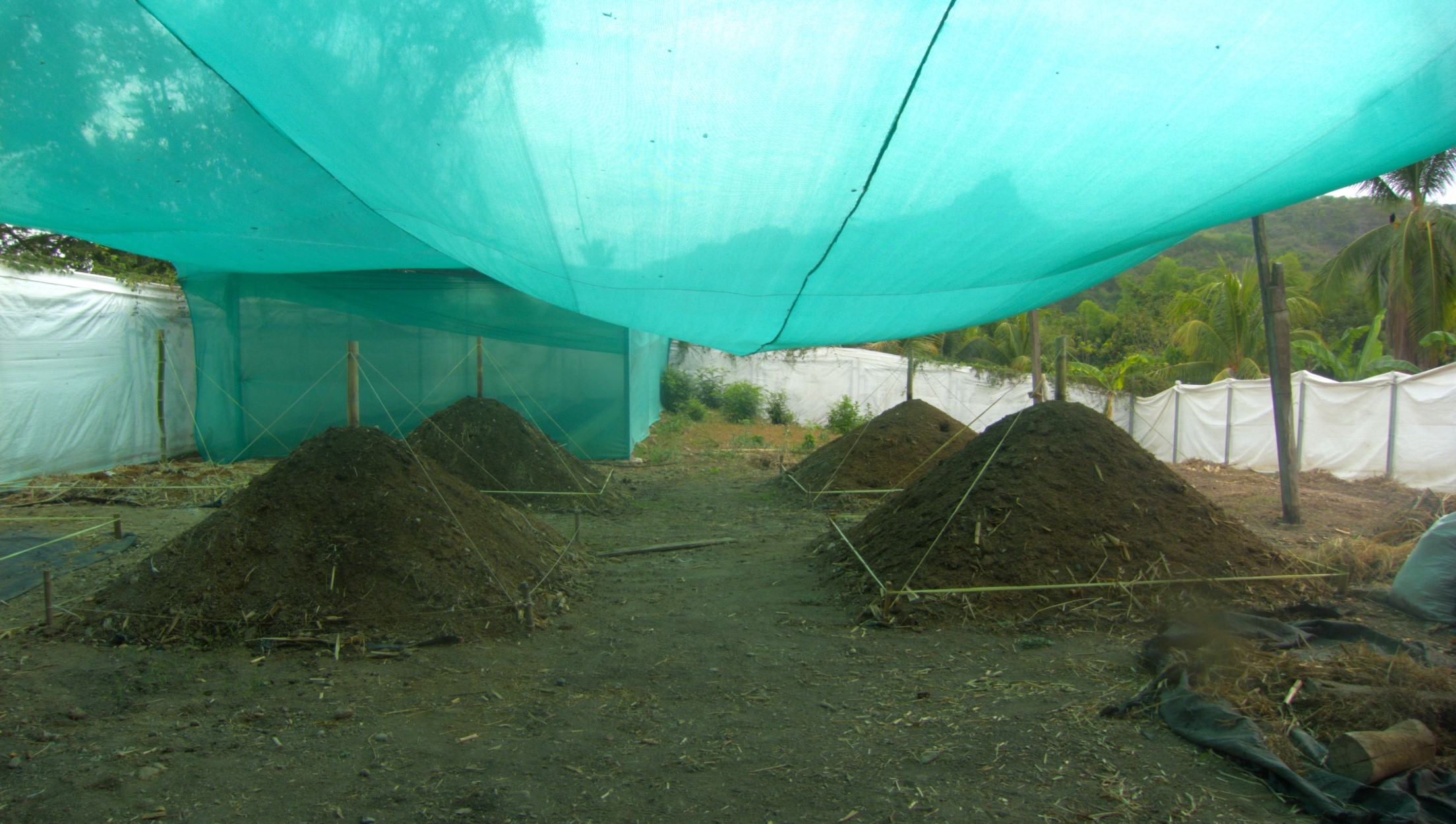 Pirámides de humus generado con lombrices Pirámides de humus generado con lombrices