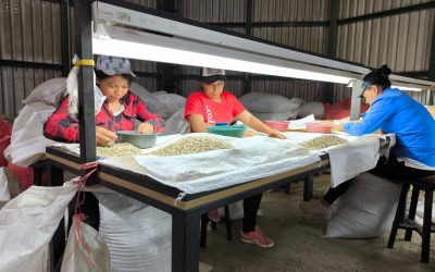 El café de COMSA, una historia de trabajo colectivo