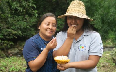 Cooperación Internacional y Comercio Justo por un cacao más digno
